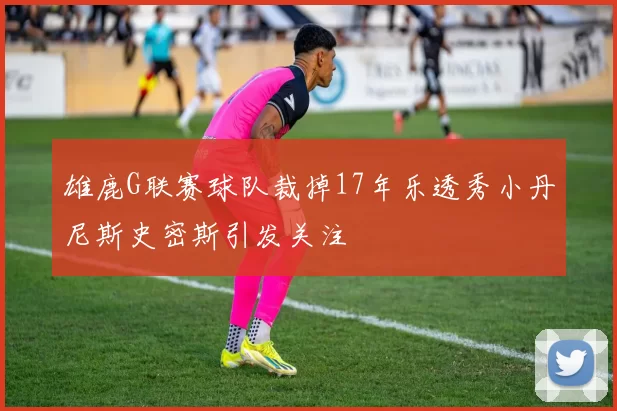 雄鹿G联赛球队裁掉17年乐透秀小丹尼斯史密斯引发关注